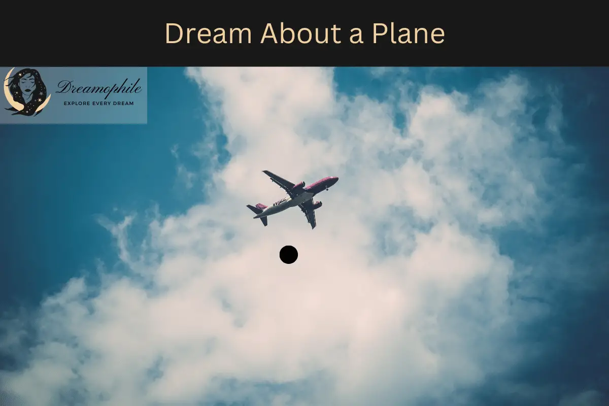 Dream About A Plane 