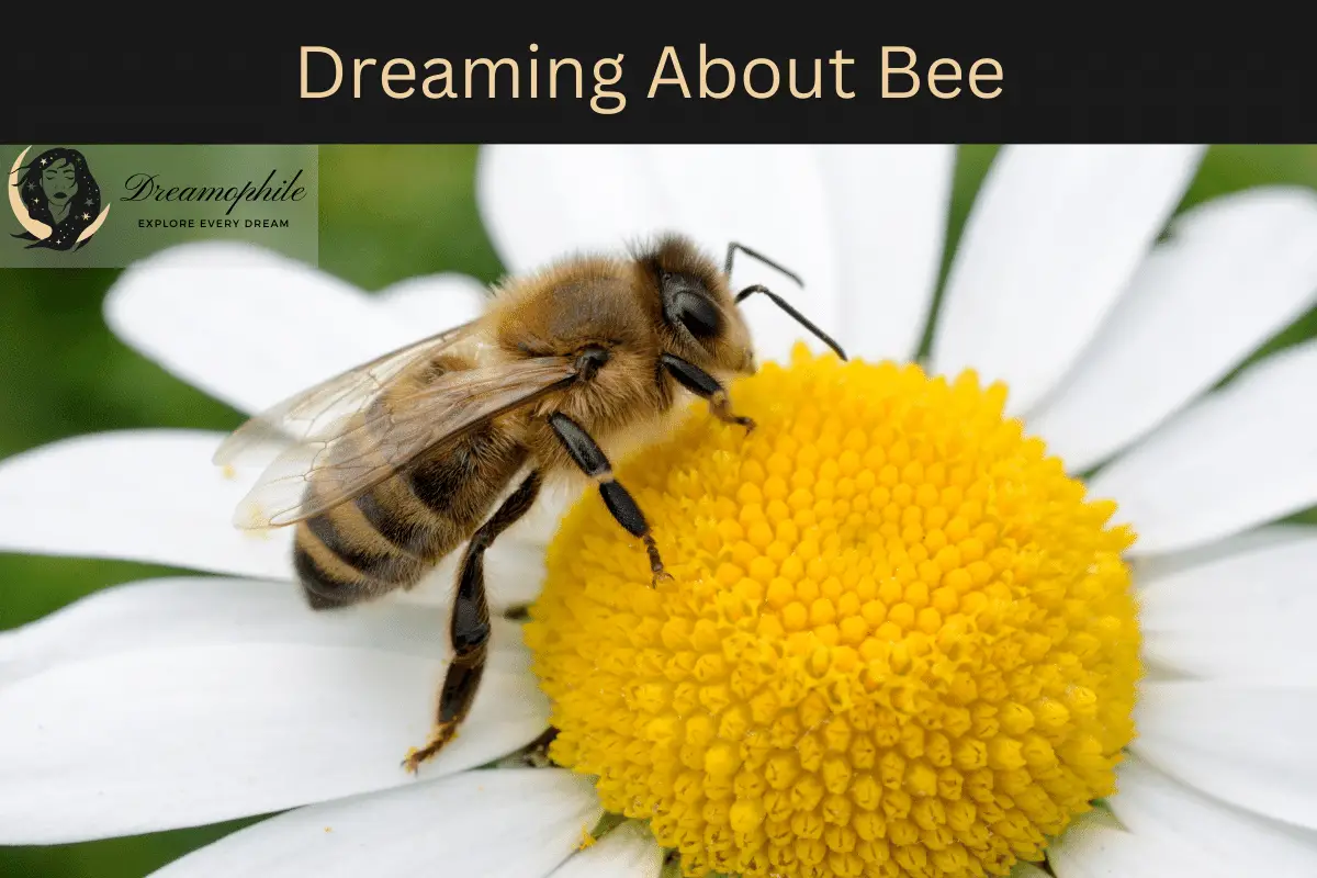 Dreaming About Bee  