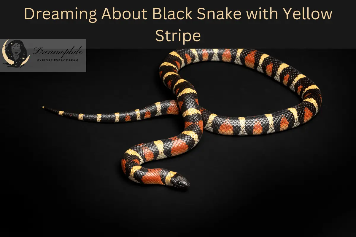 dream-about-black-snake-with-yellow-stripe-meaning