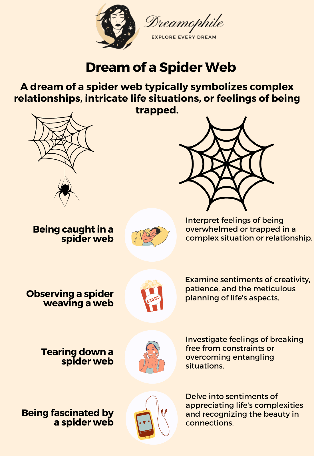 Spider Web: